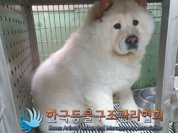 한국동물구조관리협회_441409202300988